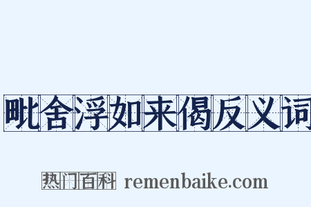 毗舍浮如来偈反义词是什么意思的图片